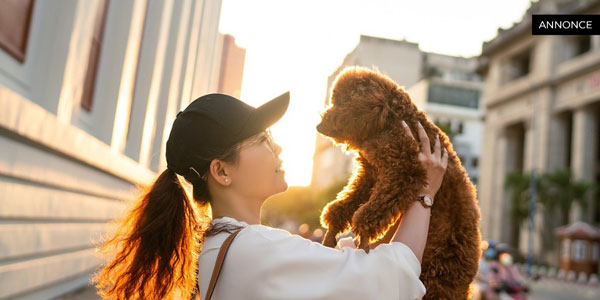 Hundeforsikring: Beskyttelse og tryghed for din firbenede ven